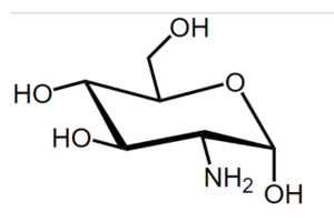 Glucosamine Structure