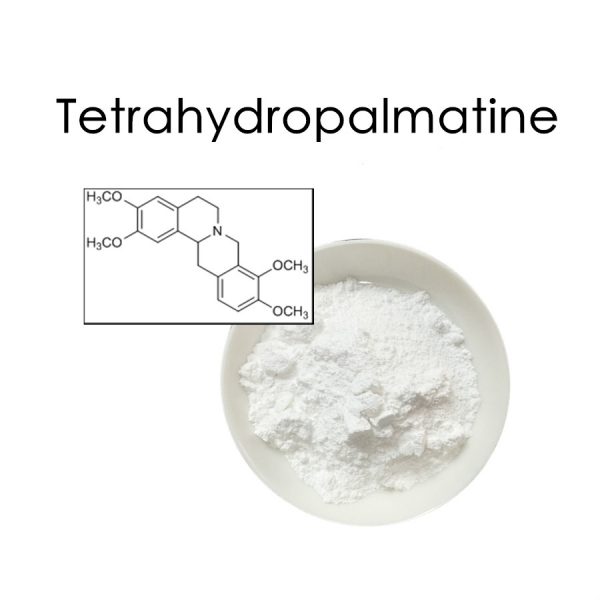 Powderd l-tetrahydropalmatine