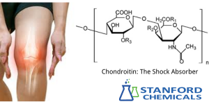 Chondroitin helps joints absorb shock