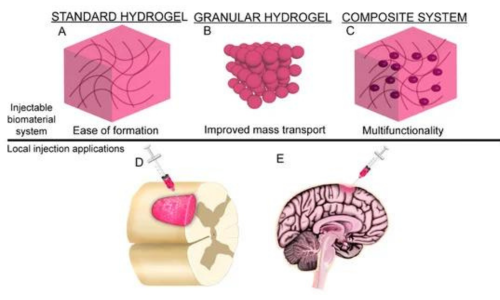 Hyaluronic Acid for Brain: Protecting Nerves