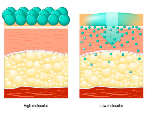 High vs. Low Hyaluronic Acid: How Molecular Weight Affects the Efficacy