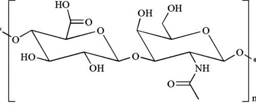 Comparison of polyglutamic acid and hyaluronic acid