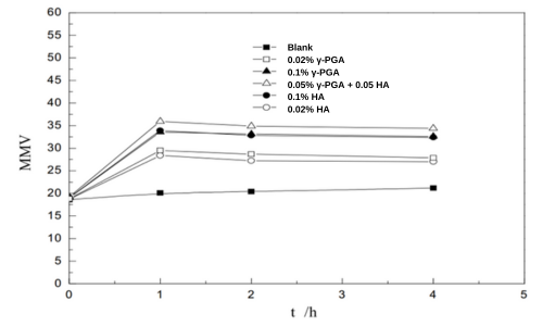 Synergy of Polyglutamic Acid and Hyaluronic Acid