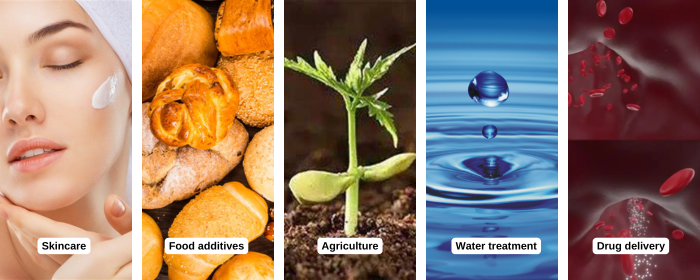 5 Uses of Polyglutamic Acid