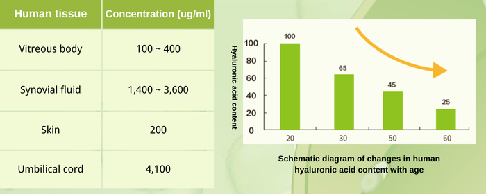 What Are the Benefits of Food-Grade Hyaluronic Acid