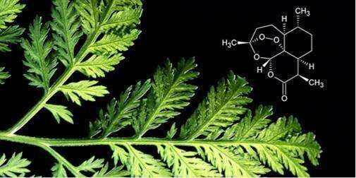 Advantages of Artemisinin Combination Therapy