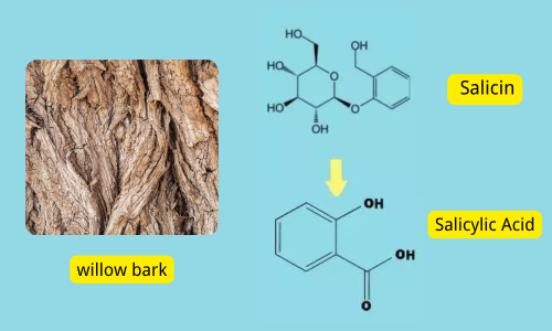 Salicin vs Salicylic Acid: Relationship, Difference & Uses