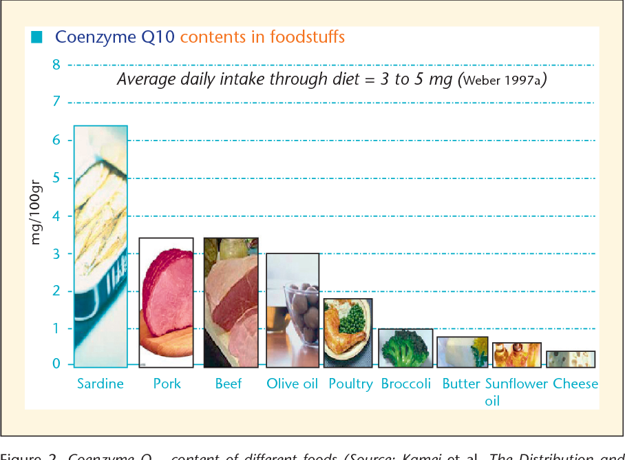 Improving Coenzyme Q10 Levels Through Diet and Supplements