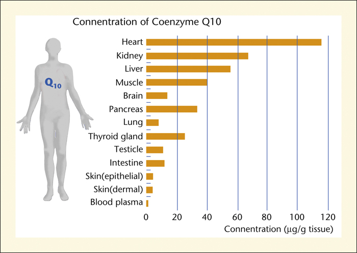 What Is Coenzyme Q10