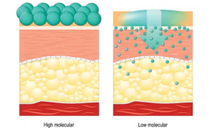 Mechanism of Action of Hyaluronic Acid