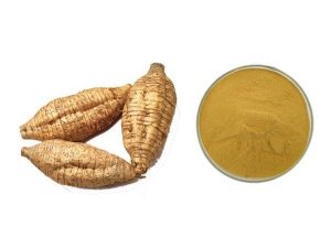 Pueraria Extract: Comprehensive Relief from Alcohol Intoxication