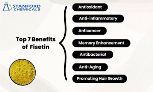 Top 7 Powerful Benefits of Fisetin